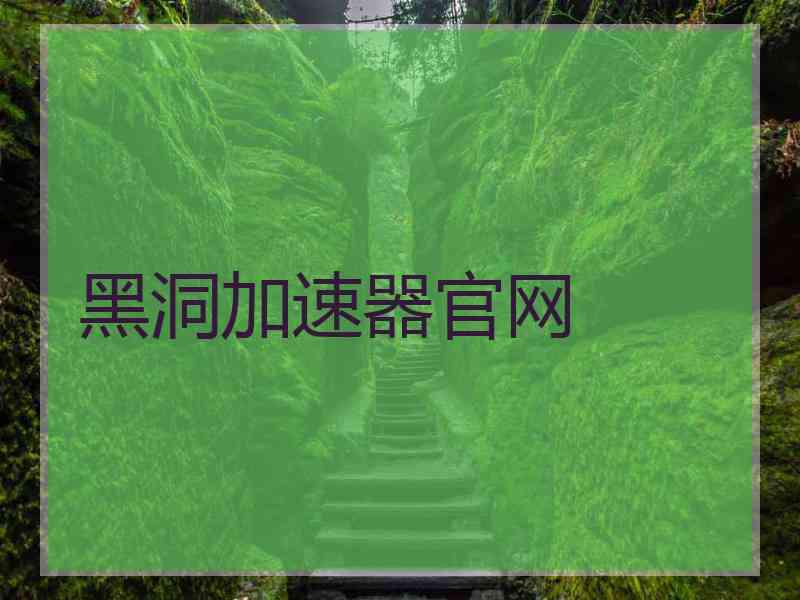 黑洞加速器官网