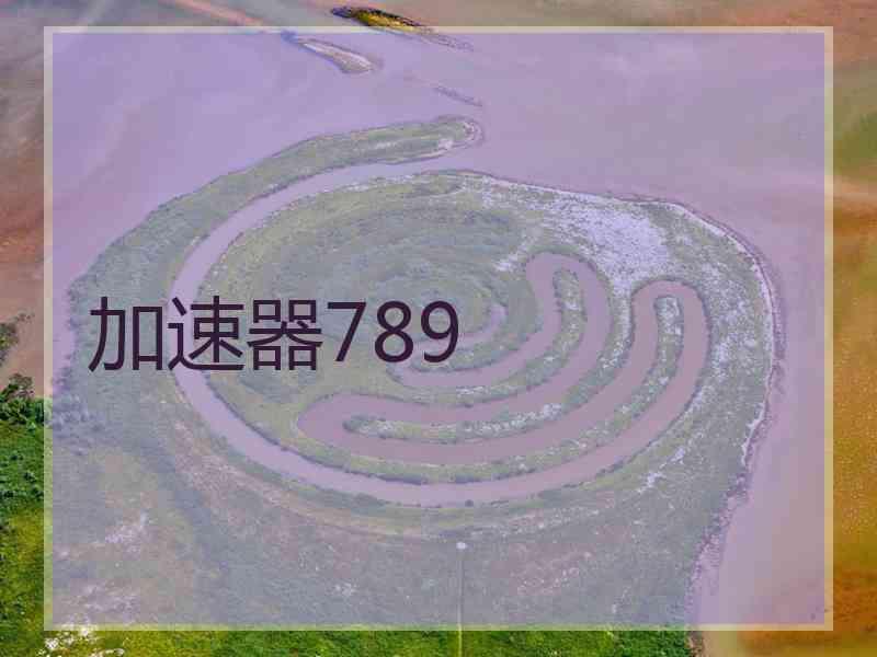 加速器789