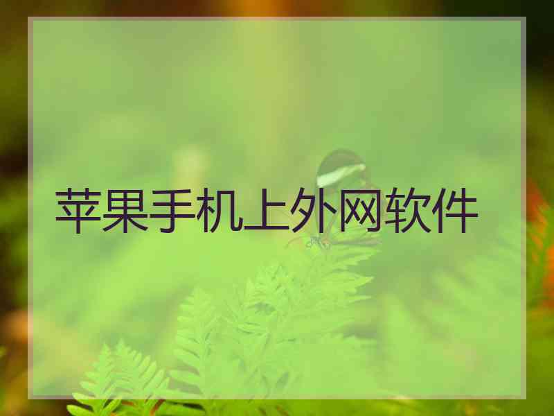 苹果手机上外网软件