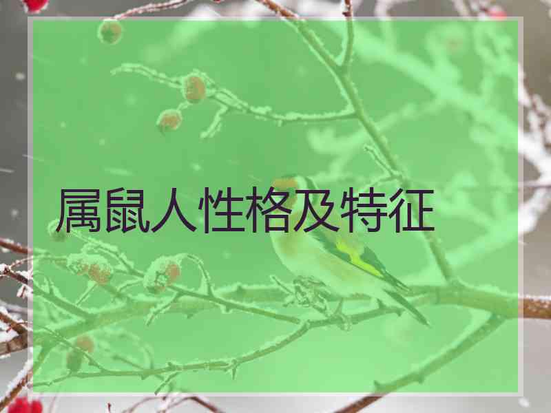 属鼠人性格及特征