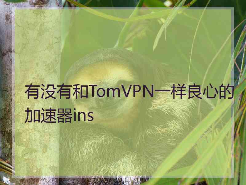 有没有和TomVPN一样良心的加速器ins