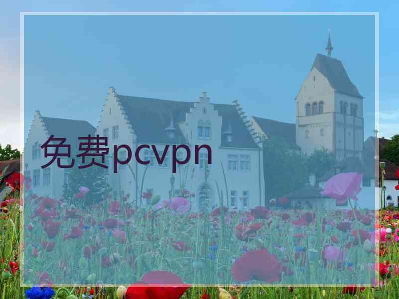 免费pcvpn