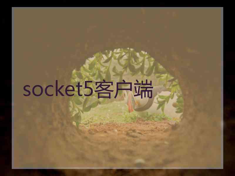 socket5客户端