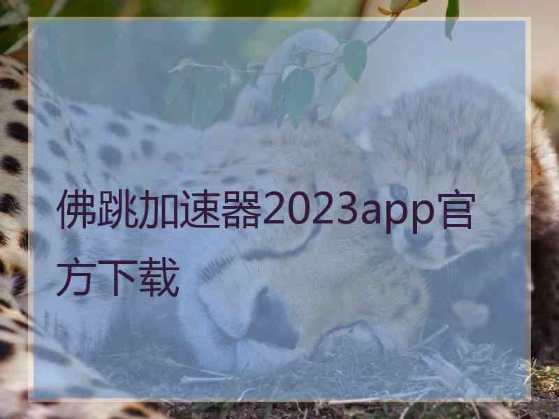 佛跳加速器2023app官方下载