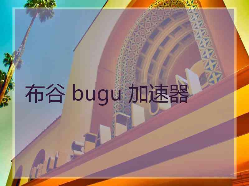 布谷 bugu 加速器