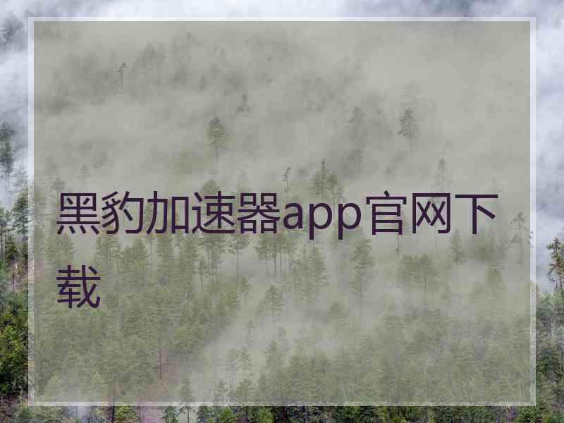 黑豹加速器app官网下载