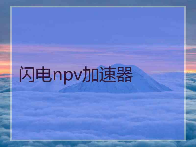 闪电npv加速器