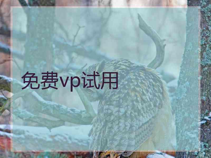 免费vp试用