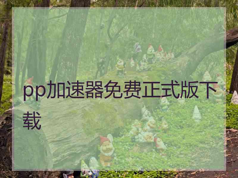 pp加速器免费正式版下载