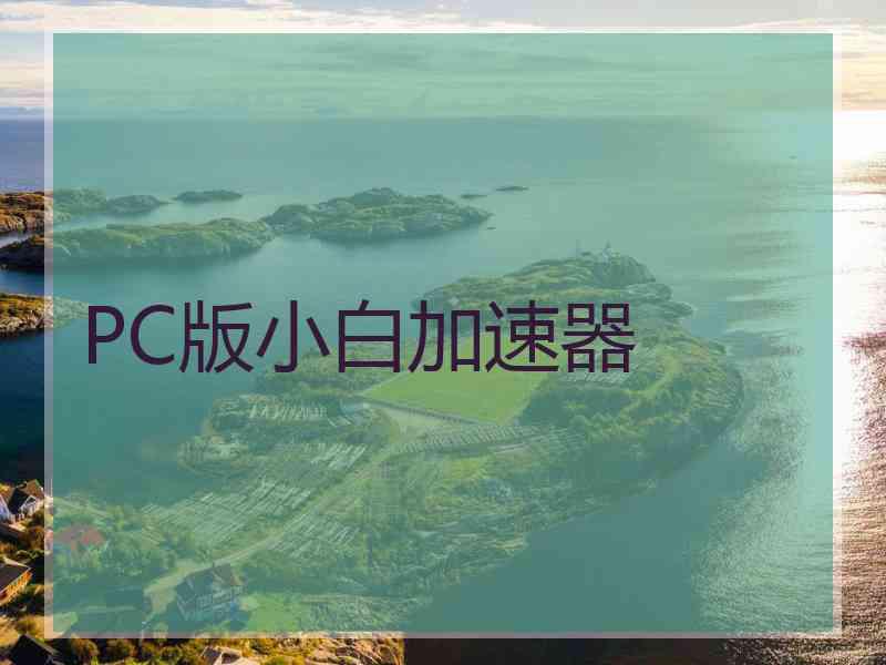 PC版小白加速器