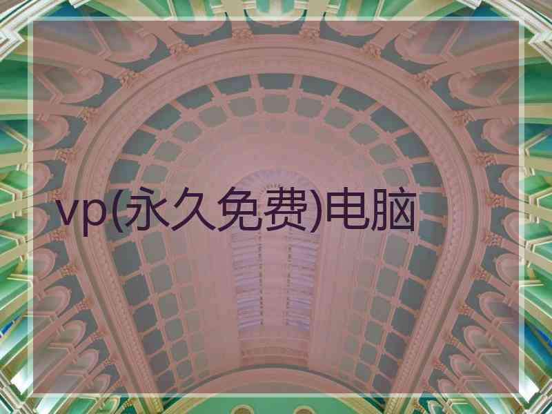 vp(永久免费)电脑