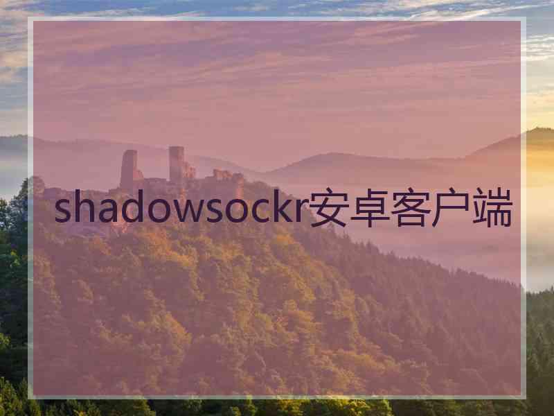 shadowsockr安卓客户端