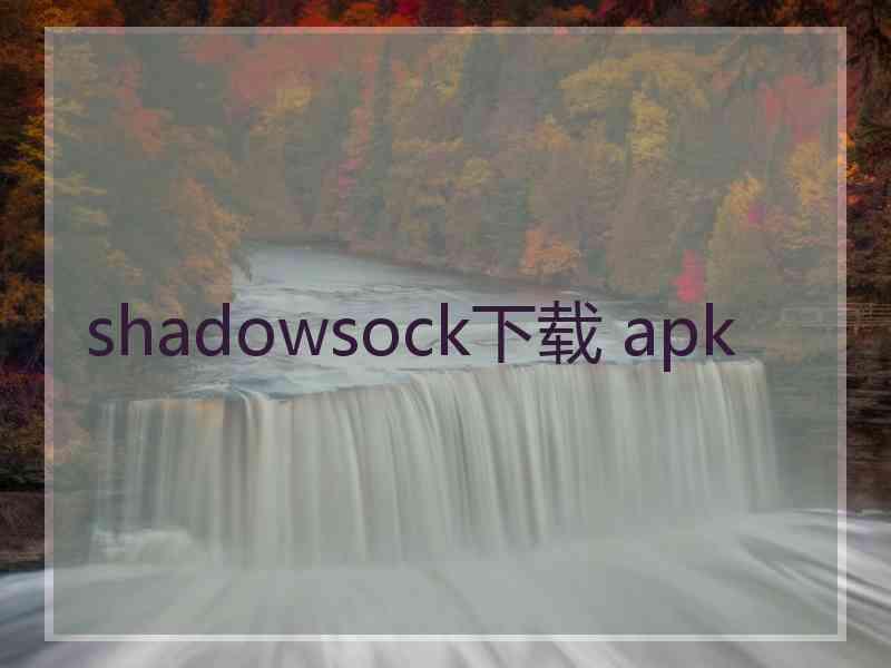 shadowsock下载 apk