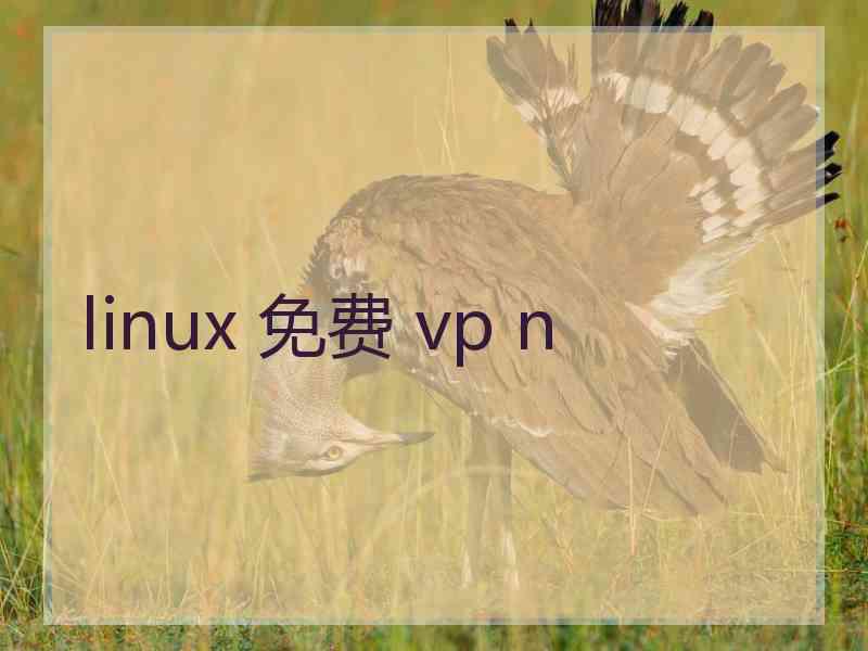 linux 免费 vp n