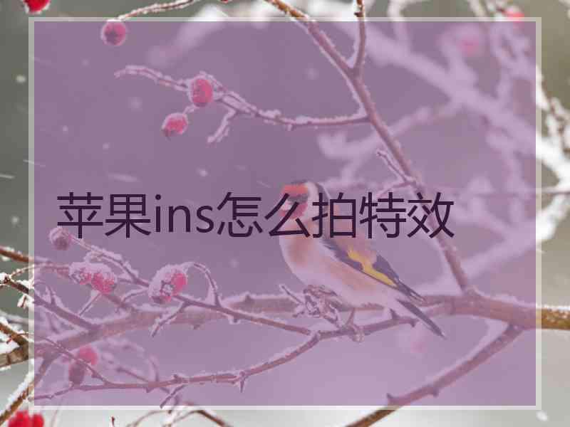 苹果ins怎么拍特效