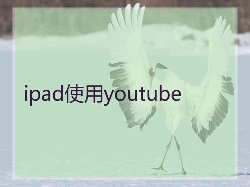 ipad使用youtube