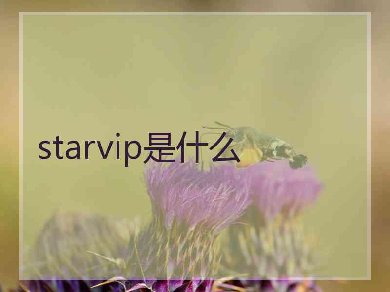 starvip是什么