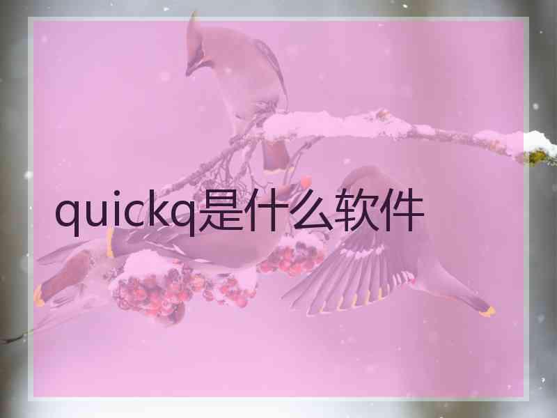 quickq是什么软件