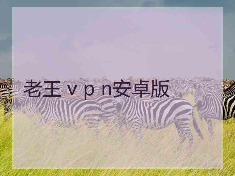 老王 v p n安卓版