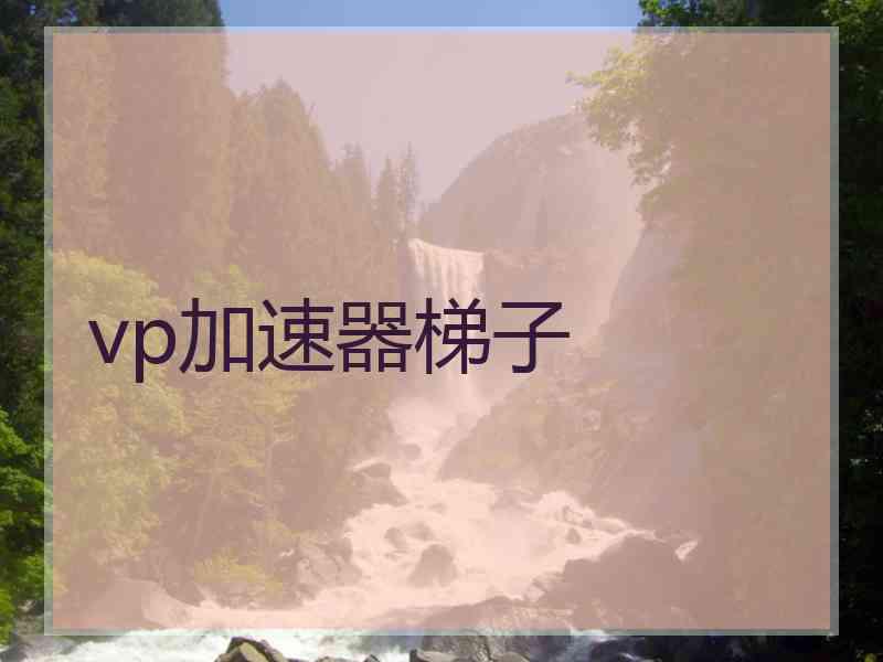 vp加速器梯子