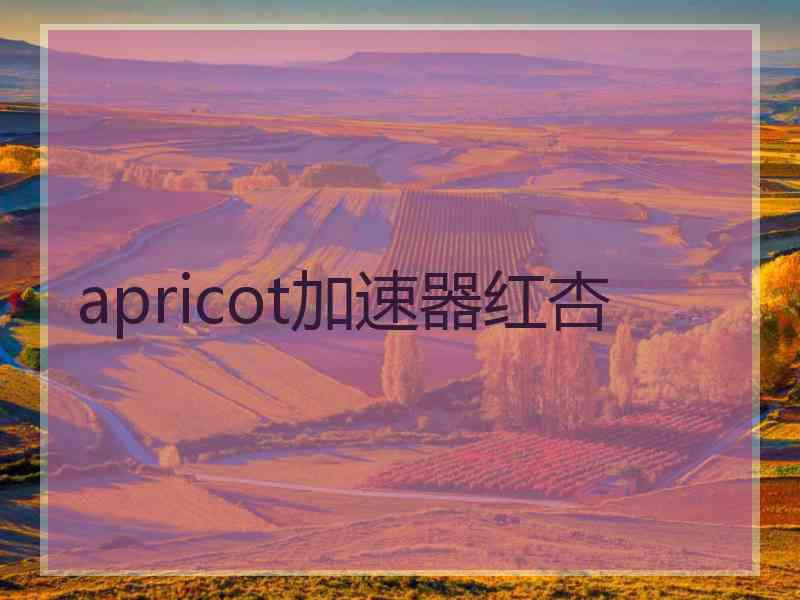 apricot加速器红杏