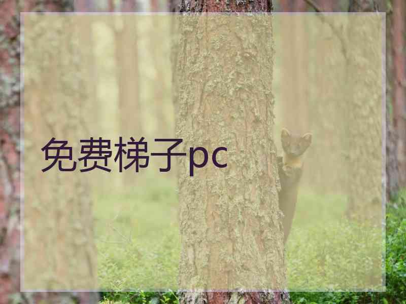 免费梯子pc