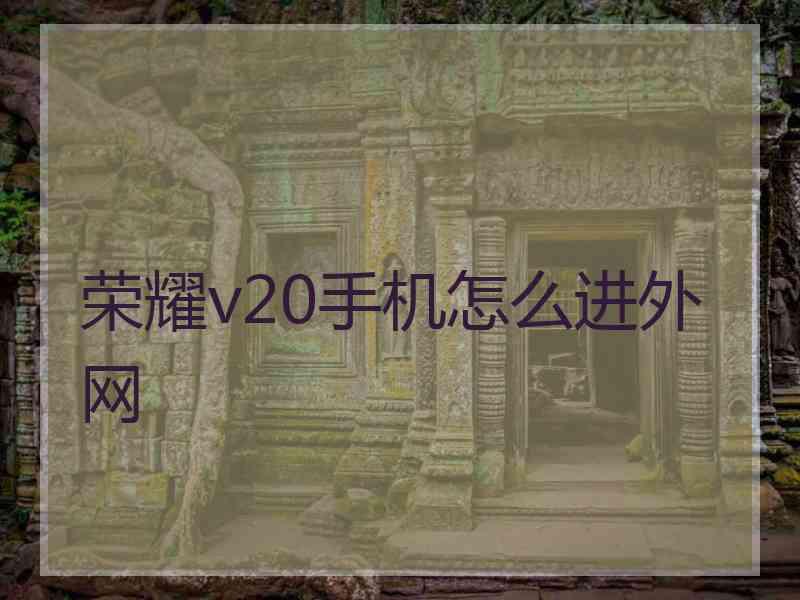 荣耀v20手机怎么进外网