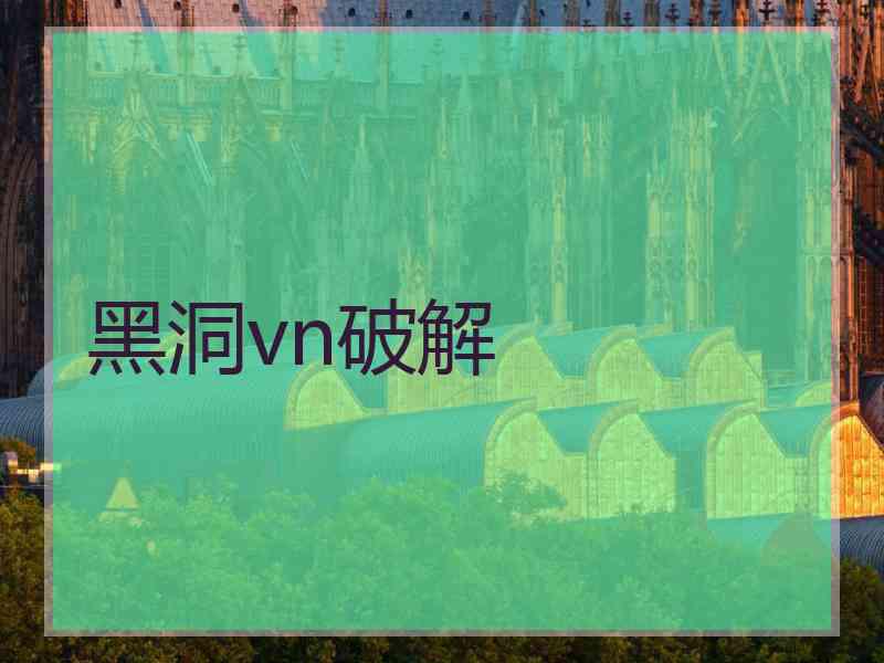 黑洞vn破解