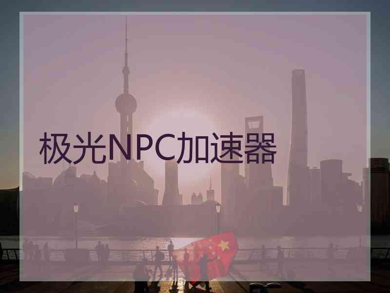 极光NPC加速器