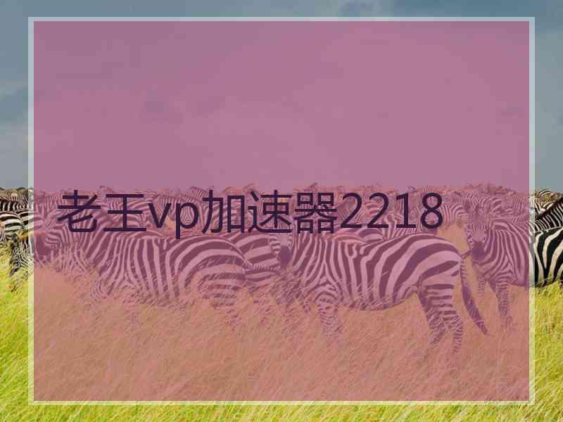 老王vp加速器2218