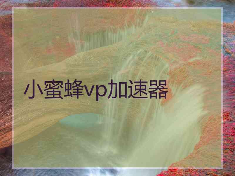 小蜜蜂vp加速器