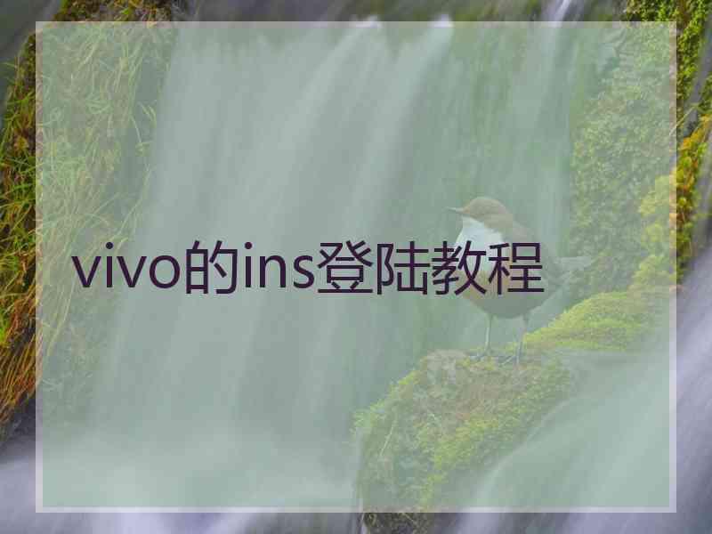 vivo的ins登陆教程