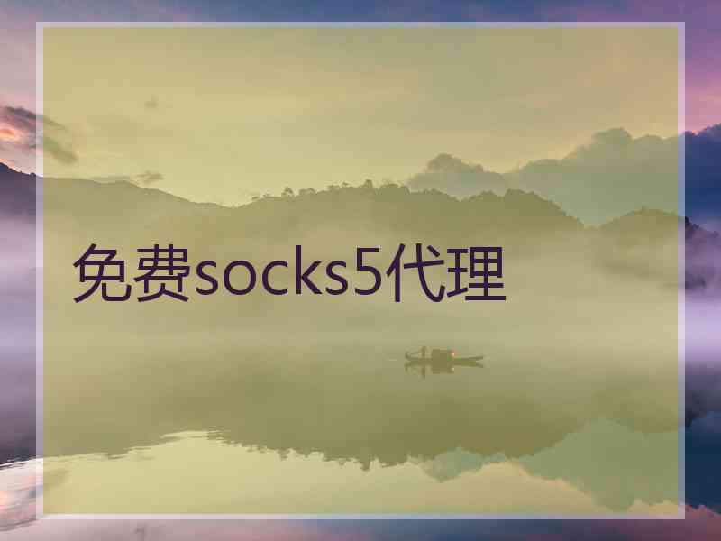 免费socks5代理