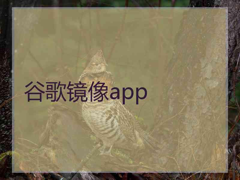 谷歌镜像app