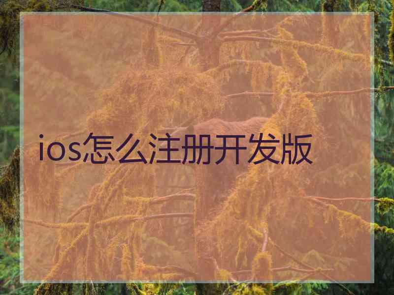 ios怎么注册开发版