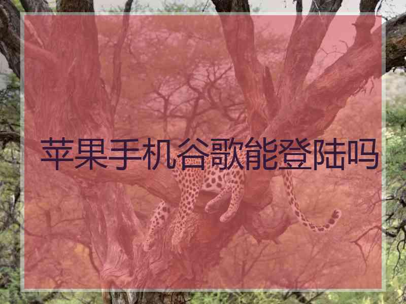 苹果手机谷歌能登陆吗