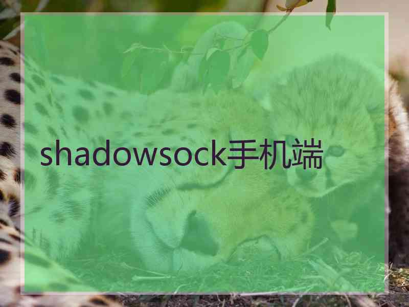 shadowsock手机端