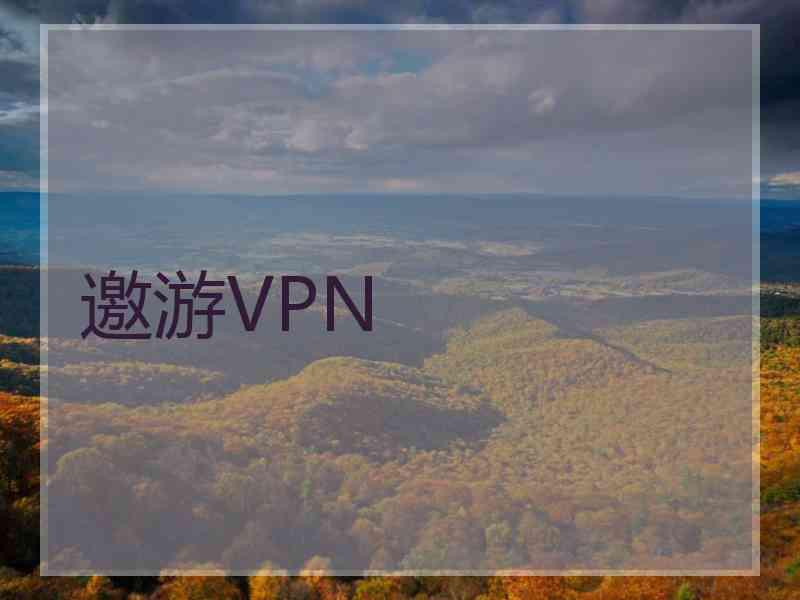 邀游VPN