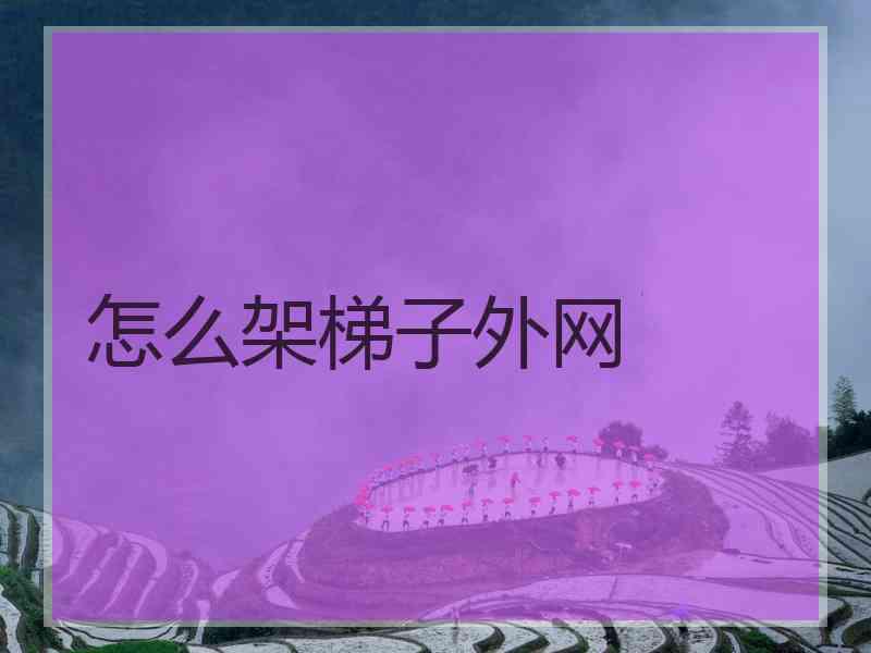 怎么架梯子外网