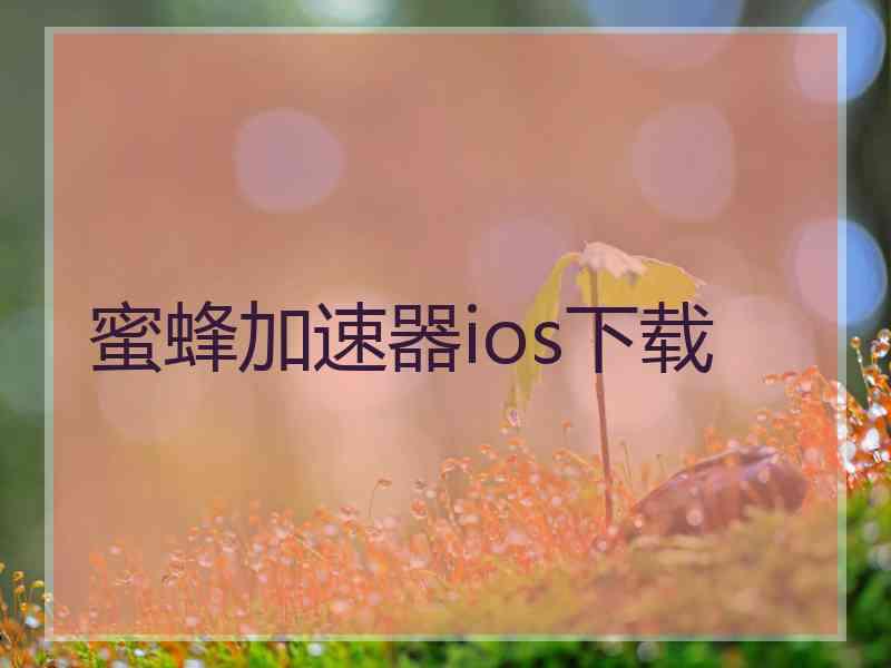 蜜蜂加速器ios下载