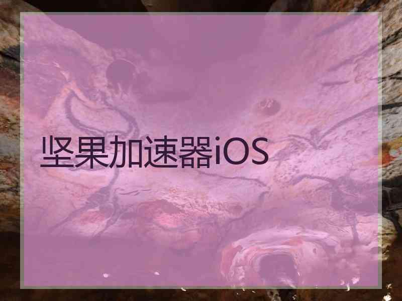 坚果加速器iOS