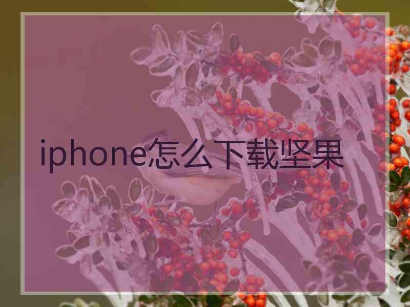 iphone怎么下载坚果