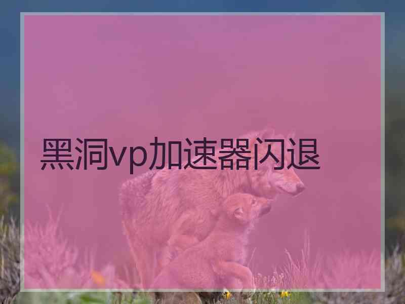 黑洞vp加速器闪退