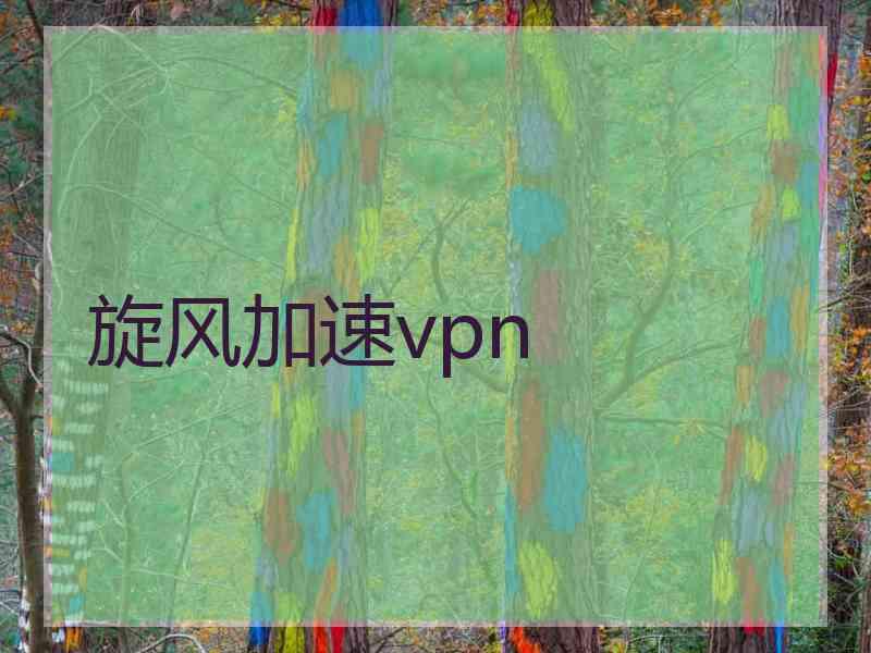 旋风加速vpn