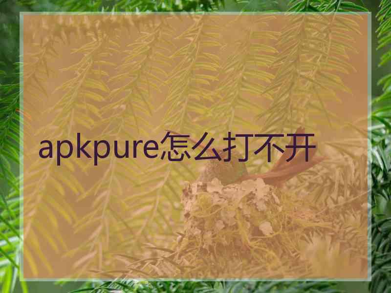 apkpure怎么打不开