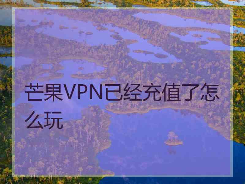 芒果VPN已经充值了怎么玩