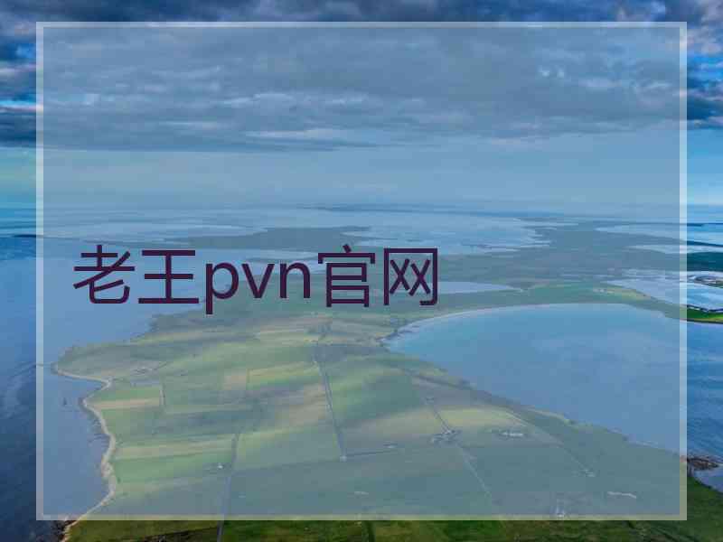 老王pvn官网