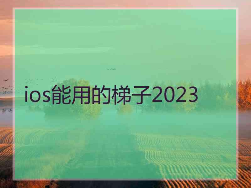 ios能用的梯子2023