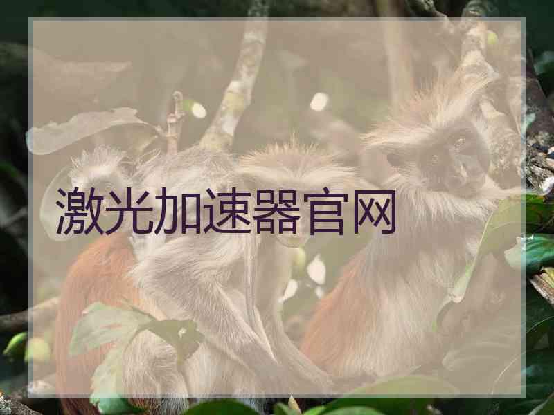 激光加速器官网