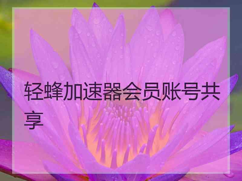 轻蜂加速器会员账号共享